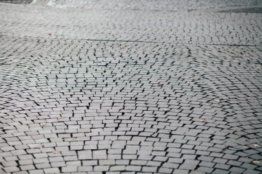 Gündüzleri şık bahçede çeşitli renklerde birbirine yakın köşeler.