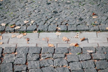 Gündüzleri şık bahçede çeşitli renklerde birbirine yakın köşeler.