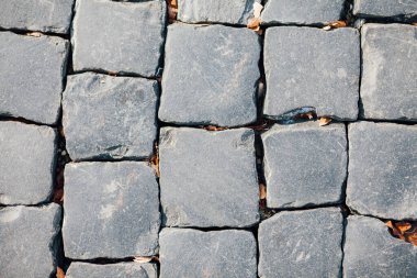 Gündüzleri şık bahçede çeşitli renklerde birbirine yakın köşeler.