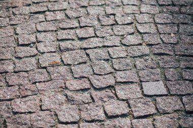 Gündüzleri şık bahçede çeşitli renklerde birbirine yakın köşeler.