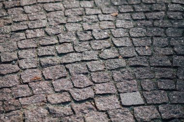 Gündüzleri şık bahçede çeşitli renklerde birbirine yakın köşeler.