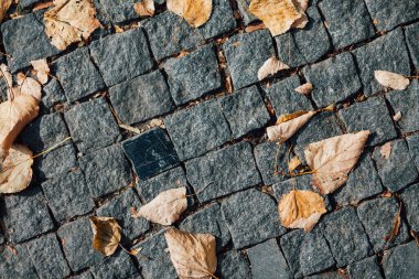 Gündüzleri şık bahçede çeşitli renklerde birbirine yakın köşeler.