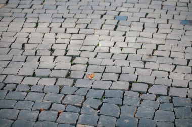 Gündüzleri şık bahçede çeşitli renklerde birbirine yakın köşeler.