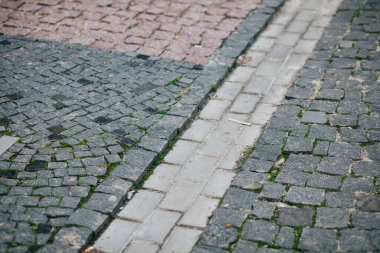 Gündüzleri şık bahçede çeşitli renklerde birbirine yakın köşeler.
