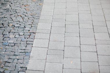 Gündüzleri şık bahçede çeşitli renklerde birbirine yakın köşeler.