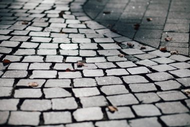 Gündüzleri şık bahçede çeşitli renklerde birbirine yakın köşeler.