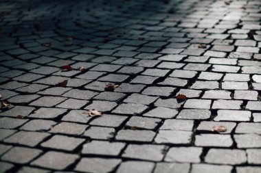 Gündüzleri şık bahçede çeşitli renklerde birbirine yakın köşeler.