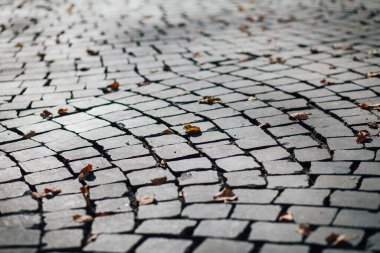 Gündüzleri şık bahçede çeşitli renklerde birbirine yakın köşeler.