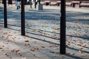 Parktaki yürüyüş yolunda demir kazıklı taşlar. 