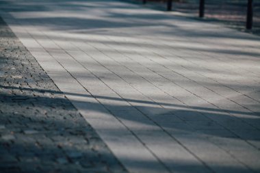 Gündüzleri şık bahçede çeşitli renklerde birbirine yakın köşeler.