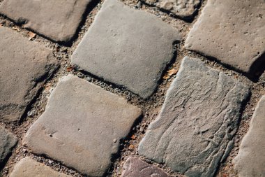 Gündüzleri şık bahçede çeşitli renklerde birbirine yakın köşeler.