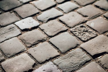 Gündüzleri şık bahçede çeşitli renklerde birbirine yakın köşeler.