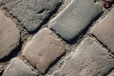 Gündüzleri şık bahçede çeşitli renklerde birbirine yakın köşeler.