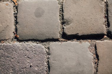 Gündüzleri şık bahçede çeşitli renklerde birbirine yakın köşeler.