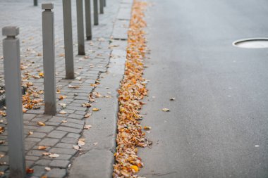 Parktaki yürüyüş yolunda demir kazıklı taşlar. 