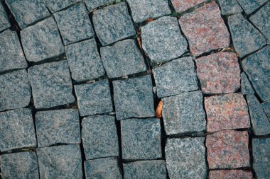Gündüzleri şık bahçede çeşitli renklerde birbirine yakın köşeler.