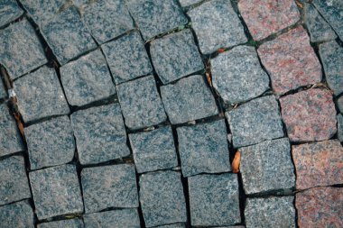 Gündüzleri şık bahçede çeşitli renklerde birbirine yakın köşeler.