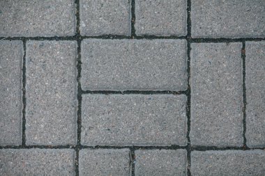 Gündüzleri şık bahçede çeşitli renklerde birbirine yakın köşeler.