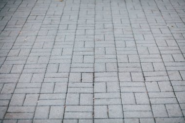 Gündüzleri şık bahçede çeşitli renklerde birbirine yakın köşeler.