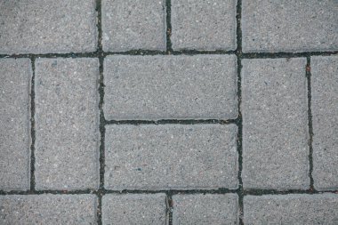 Gündüzleri şık bahçede çeşitli renklerde birbirine yakın köşeler.