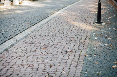 Gündüzleri şık bahçede çeşitli renklerde birbirine yakın köşeler.