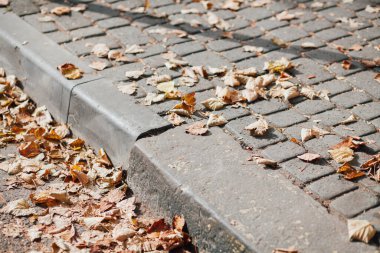 Gündüzleri şık bahçede çeşitli renklerde birbirine yakın köşeler.
