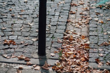 Parktaki yürüyüş yolunda demir kazıklı taşlar. 