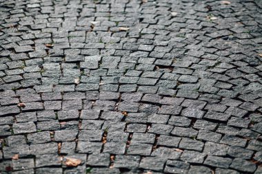 Gündüzleri şık bahçede çeşitli renklerde birbirine yakın köşeler.
