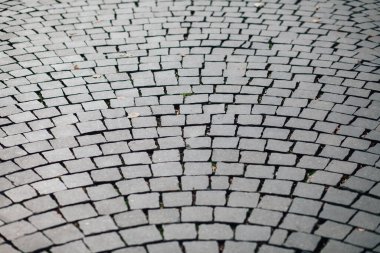 Gündüzleri şık bahçede çeşitli renklerde birbirine yakın köşeler.