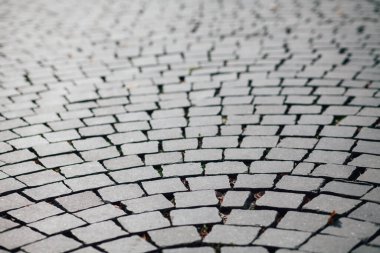 Gündüzleri şık bahçede çeşitli renklerde birbirine yakın köşeler.