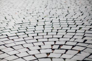 Gündüzleri şık bahçede çeşitli renklerde birbirine yakın köşeler.