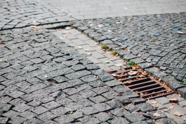 Gündüzleri şık bahçede çeşitli renklerde birbirine yakın köşeler.