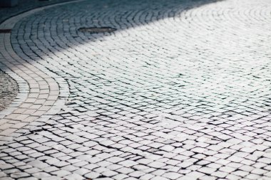 Gündüzleri şık bahçede çeşitli renklerde birbirine yakın köşeler.