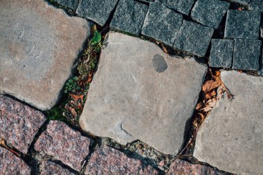 Gündüzleri şık bahçede çeşitli renklerde birbirine yakın köşeler.