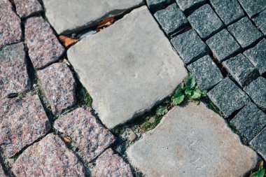 Gündüzleri şık bahçede çeşitli renklerde birbirine yakın köşeler.