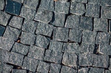 Gündüzleri şık bahçede çeşitli renklerde birbirine yakın köşeler.