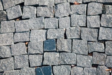 Gündüzleri şık bahçede çeşitli renklerde birbirine yakın köşeler.