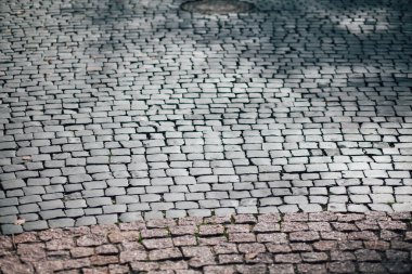 Gündüzleri şık bahçede çeşitli renklerde birbirine yakın köşeler.