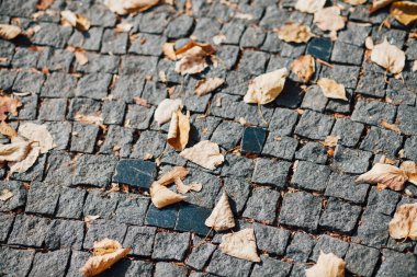 Gündüzleri şık bahçede çeşitli renklerde birbirine yakın köşeler.