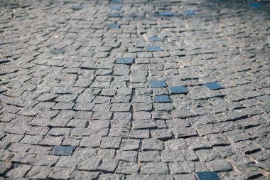 Gündüzleri şık bahçede çeşitli renklerde birbirine yakın köşeler.