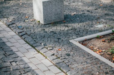 Gündüzleri şık bahçede çeşitli renklerde birbirine yakın köşeler.