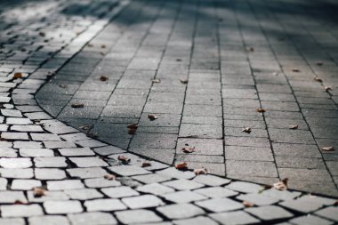 Gündüzleri şık bahçede çeşitli renklerde birbirine yakın köşeler.