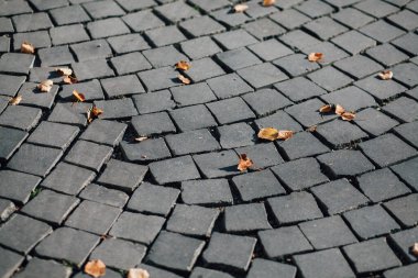 Gündüzleri şık bahçede çeşitli renklerde birbirine yakın köşeler.