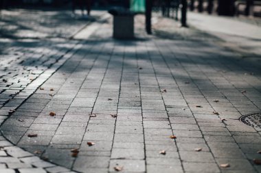 Parktaki yürüyüş yolunda demir kazıklı taşlar. 