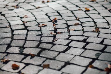 Gündüzleri şık bahçede çeşitli renklerde birbirine yakın köşeler.