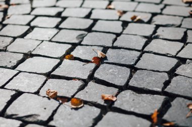 Gündüzleri şık bahçede çeşitli renklerde birbirine yakın köşeler.