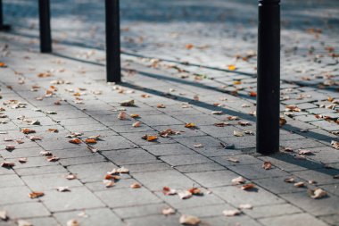 Parktaki yürüyüş yolunda demir kazıklı taşlar. 