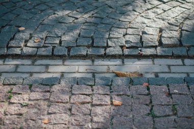Gündüzleri şık bahçede çeşitli renklerde birbirine yakın köşeler.
