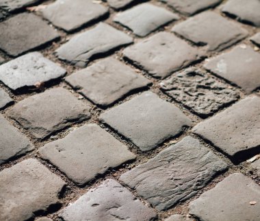 Gündüzleri şık bahçede çeşitli renklerde birbirine yakın köşeler.