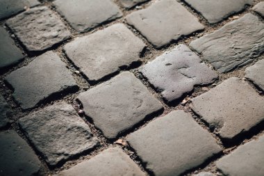 Gündüzleri şık bahçede çeşitli renklerde birbirine yakın köşeler.